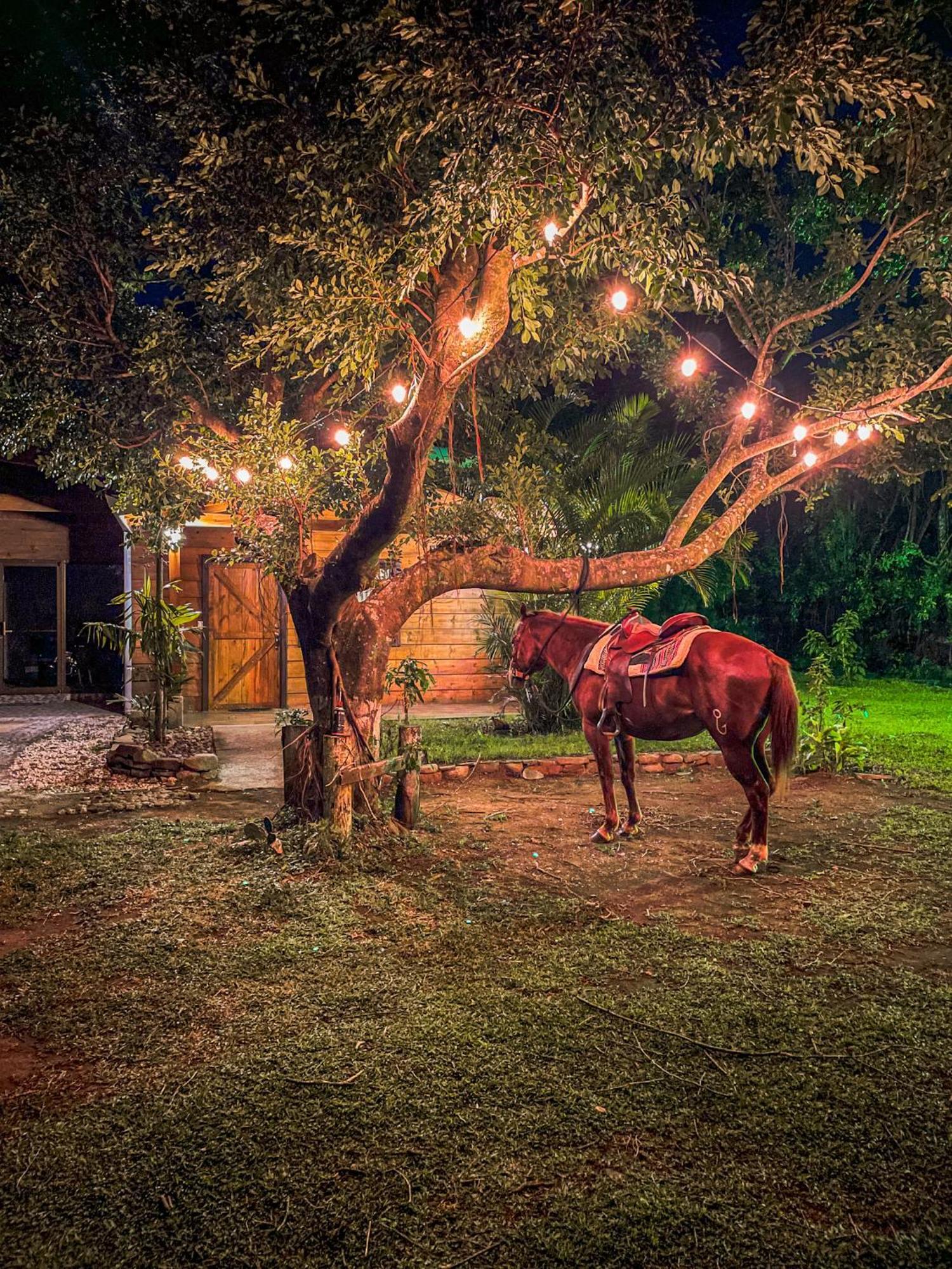 מונטה ורדה Tierra Buena Countryside Hotel מראה חיצוני תמונה